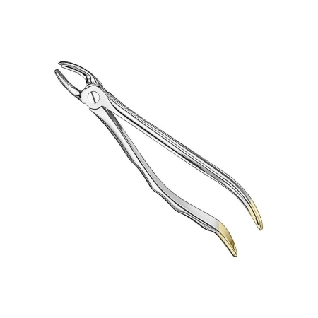 Extracting forceps, anat.